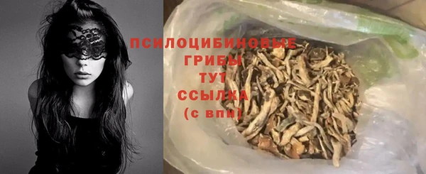 спиды Костерёво