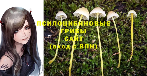 спиды Костерёво