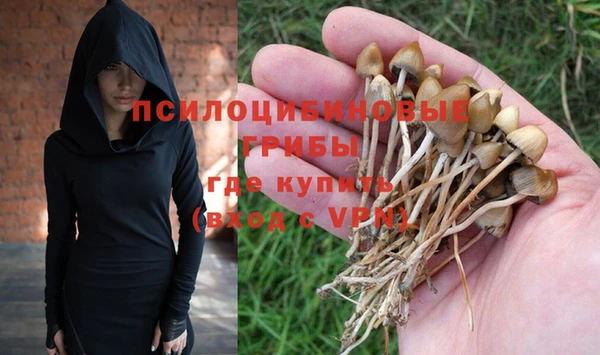 спиды Костерёво