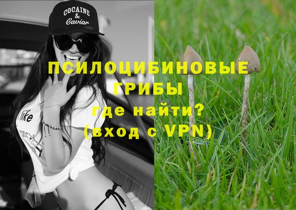 каннабис Корсаков