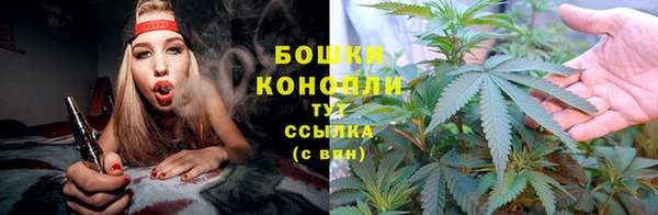каннабис Корсаков